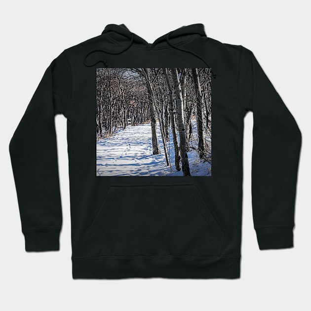 Trail through the trees. Hoodie by CanadianWild418